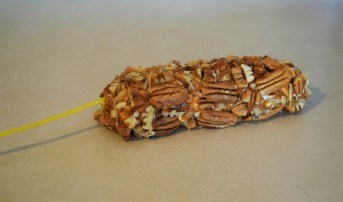 Earthworm Nut Log