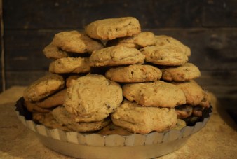 chipdale-walnut-wallaroos