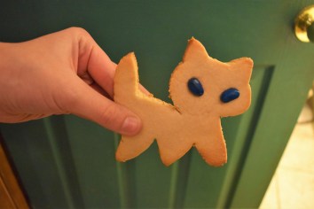 FeedTheKittyCookie